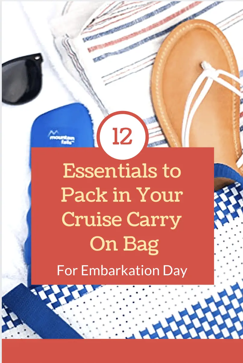Cruise Embarkation Day bag