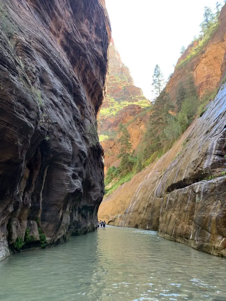 The Narrows Zion Hike