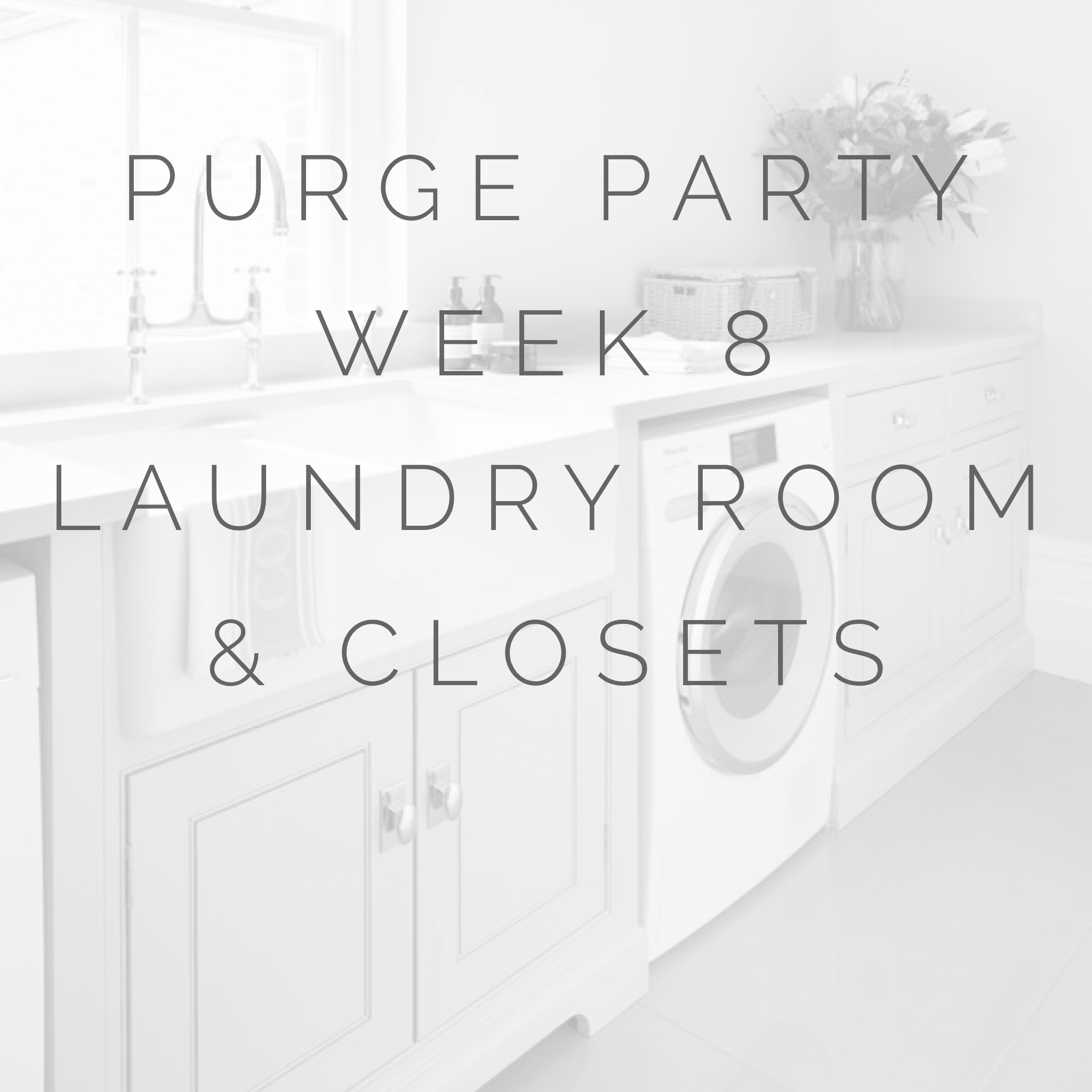 Purge Party Laundry Room Organization