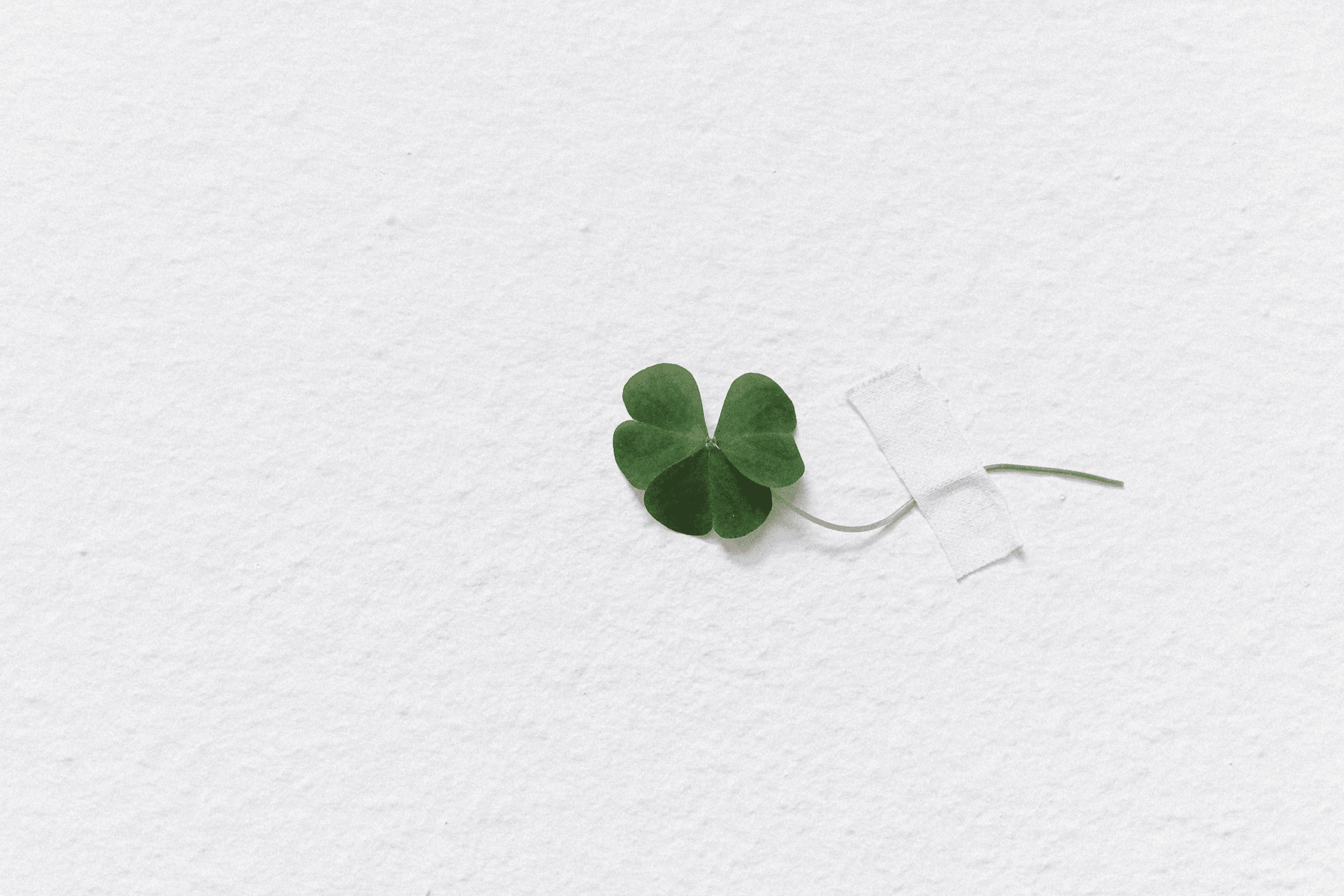 Shamrock taped to a white piece of paper