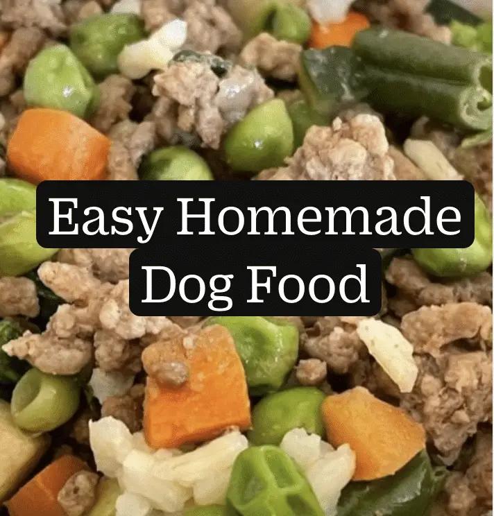 Easy Homemade Dog Food