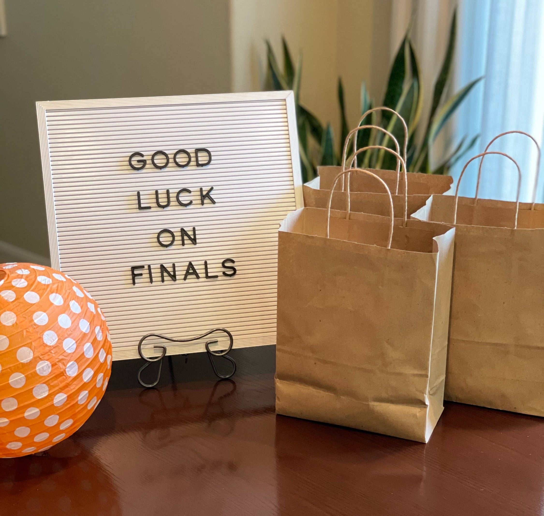 Good luck on finals sign with Finals Survival Kit Bags