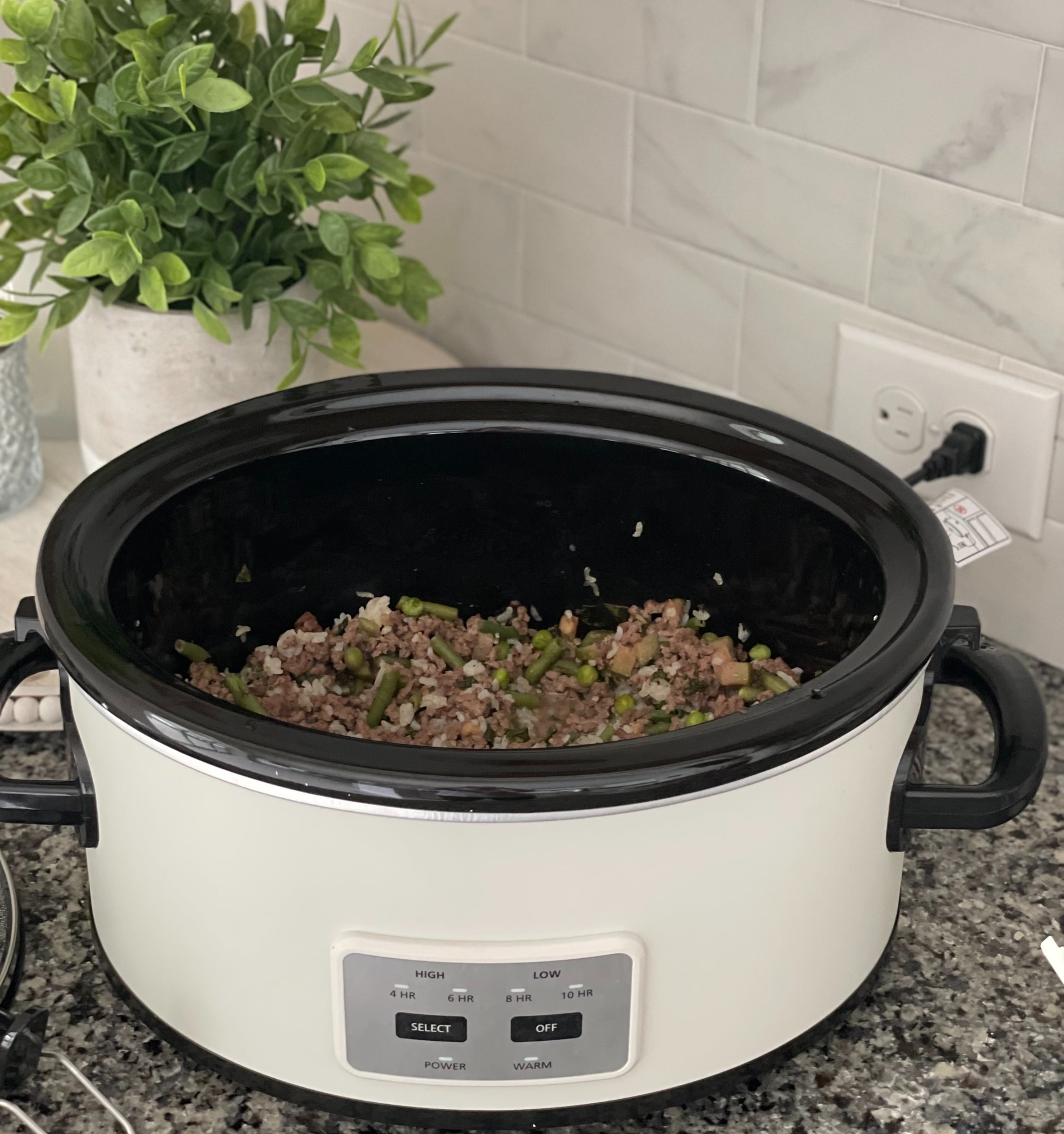White crockpot with dog food cooking