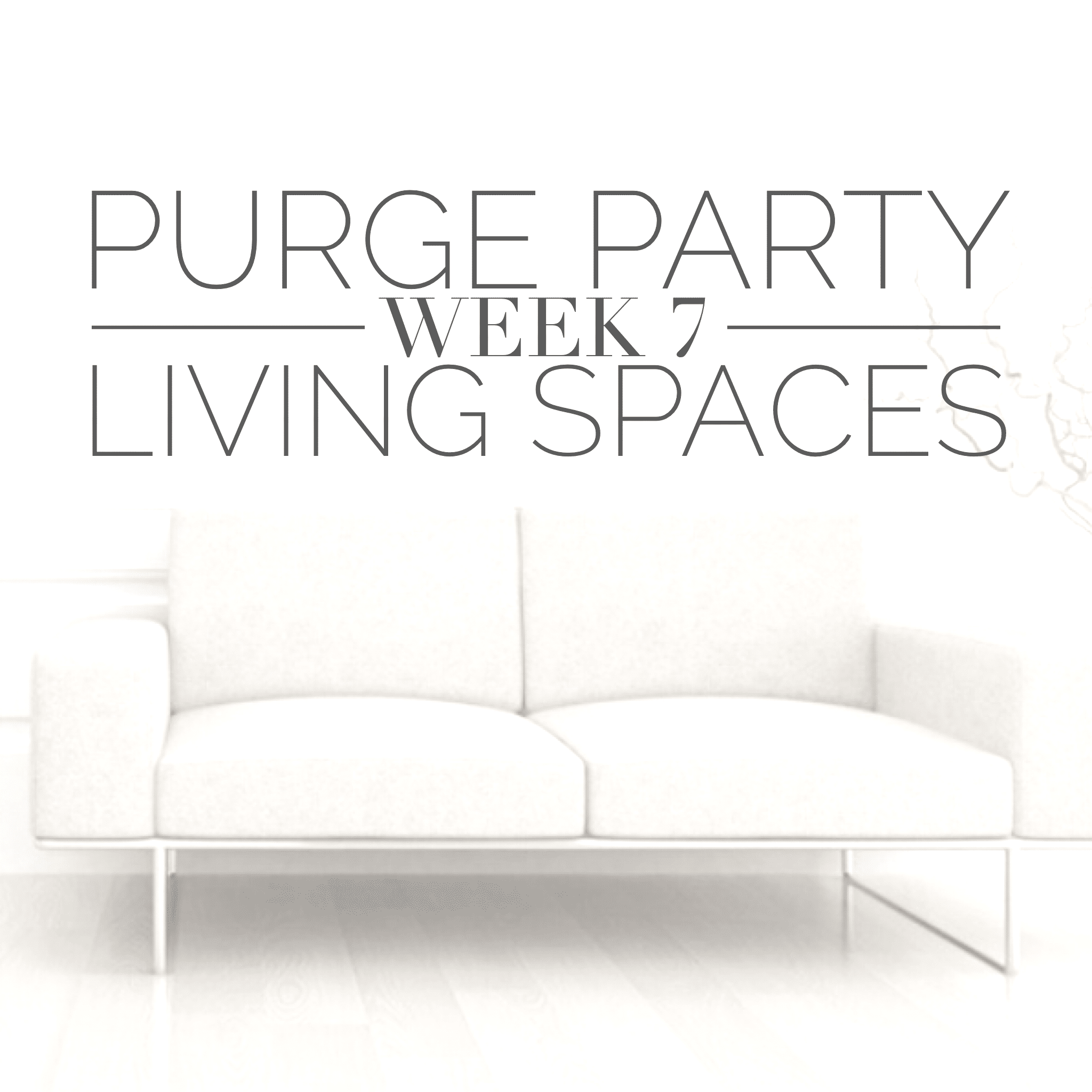 Purge Party Organization in the living spaces of your home