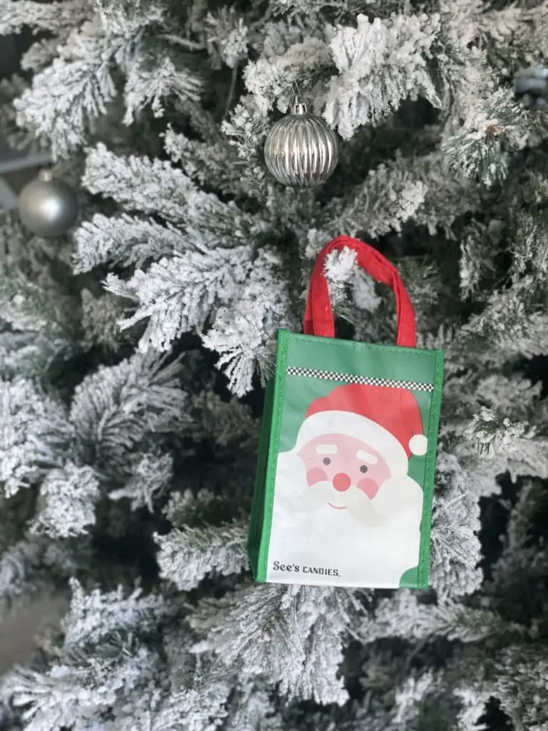 Small Santa gift bag hanging on a Christmas tree