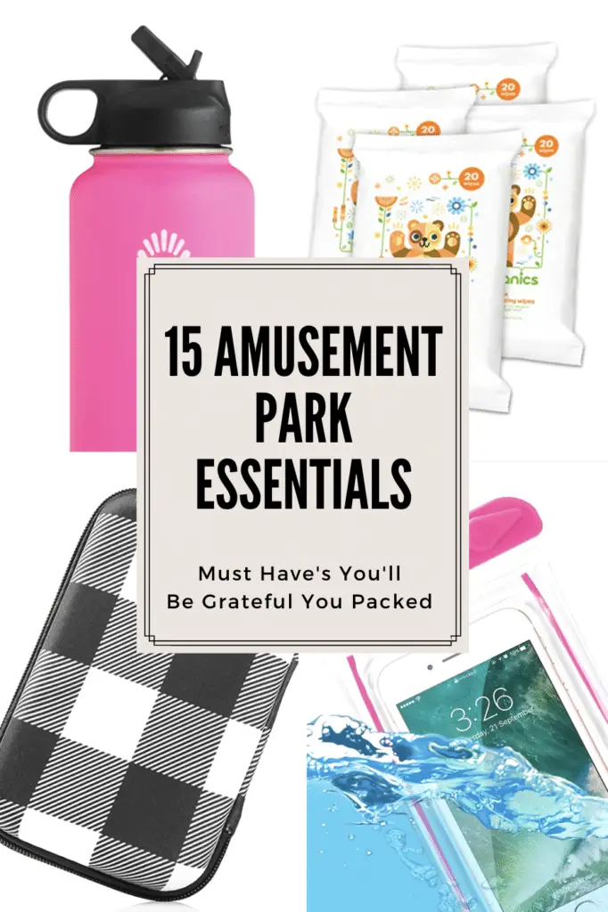 15 Amusement Park Essentials