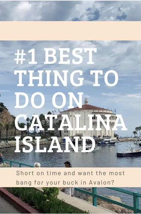 #1 thing to do in Catalina Island California
