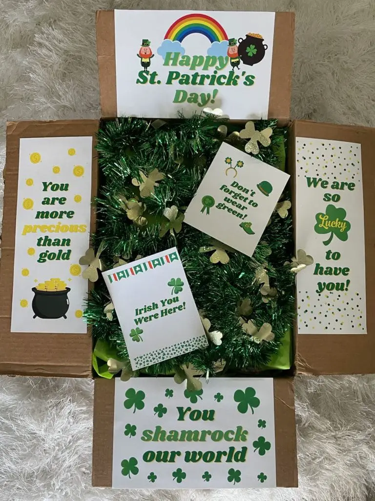 Green St. Patricks Day Care Package