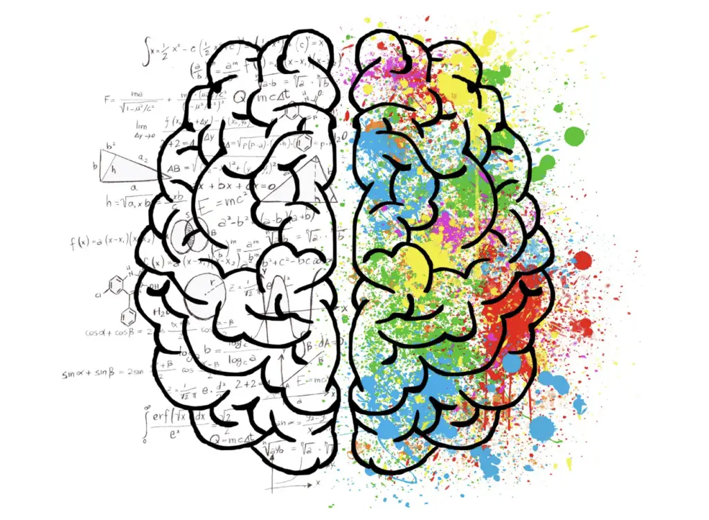 brain art with splattered pain and mathematical equations
